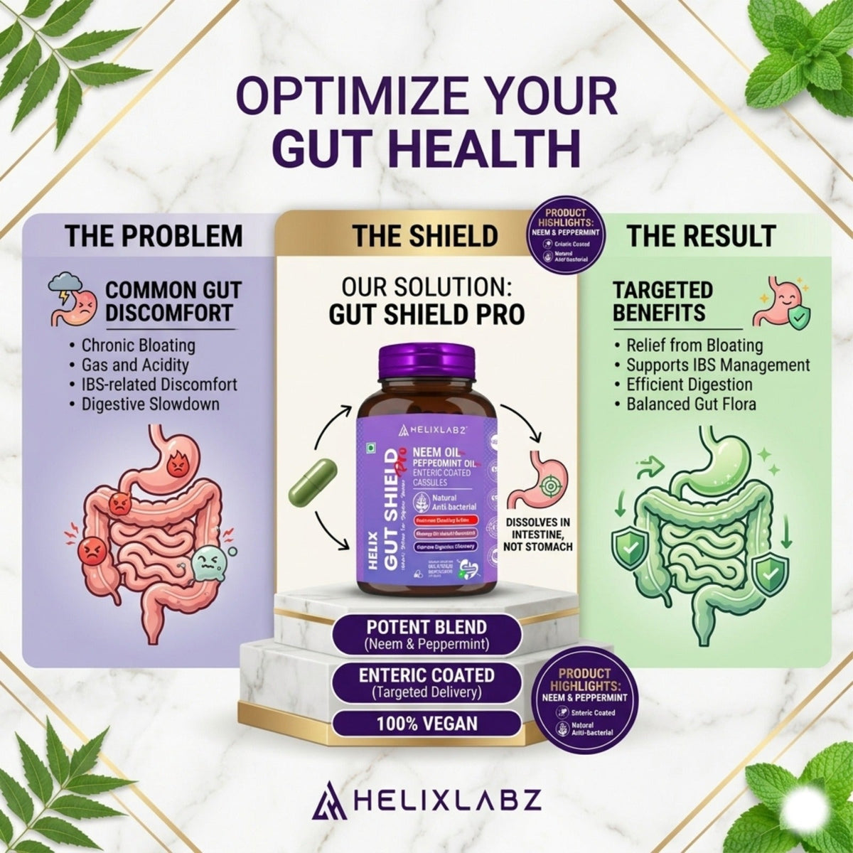 Helix Gut Shield Pro | Nature's Defense For Digestive Balance 60 Capsules